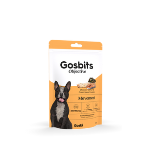 Dog Movement Snack